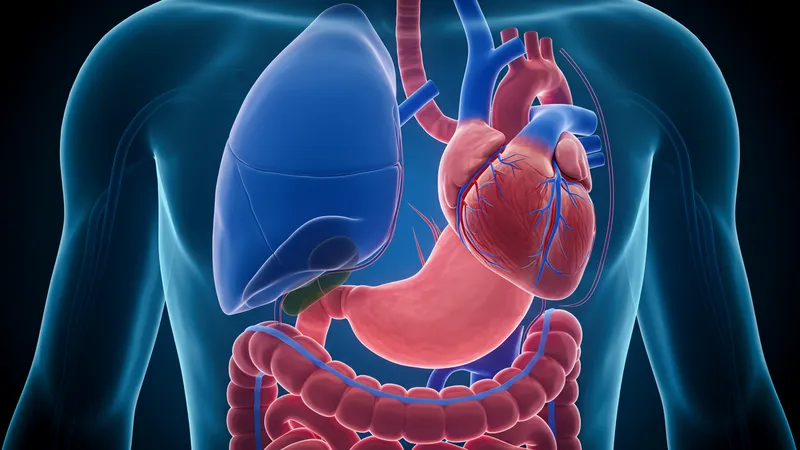 Page 13 illustration